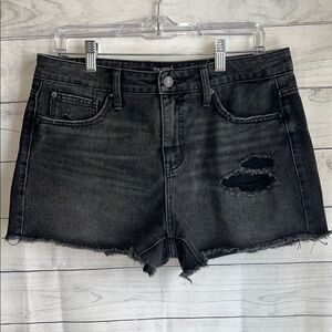 Time and Tru blackwash denim distressed shorts